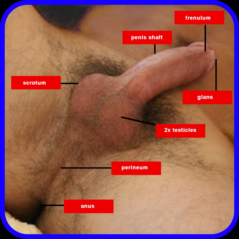 amateur porn video parent directory multiple outlet strip